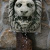 IMG_3395